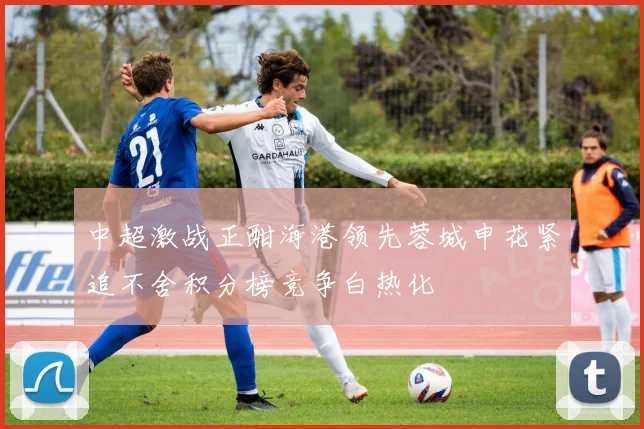 中超激战正酣海港领先蓉城申花紧追不舍积分榜竞争白热化