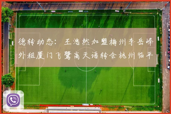 德转动态：王浩然加盟梅州李岳峰外租厦门飞鹭高天语转会杭州临平吴越